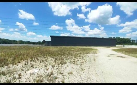 Pekan Nanas @ Single Storey Warehouse with Big Land for Rent